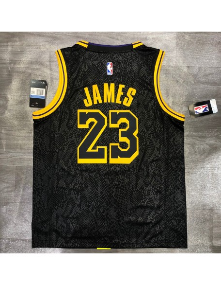 Lakers James 23